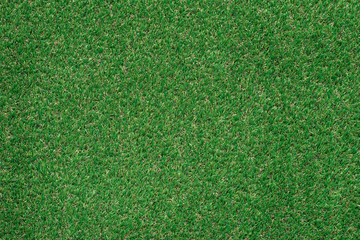 Green lush grass
