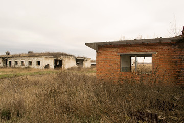 Agriculture after the collapse of the USSR