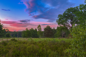Obraz premium HDR Landschaft 2 / Sonnenuntergang über dem Naturschutzgebiet Breeser Grund im Staatsforst Göhrde (Landkreis Lüchow-Dannenberg, Niedersachsen).
