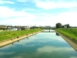 Fototapeta premium 坂川放水路風景