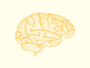 Human brain abstract illustration