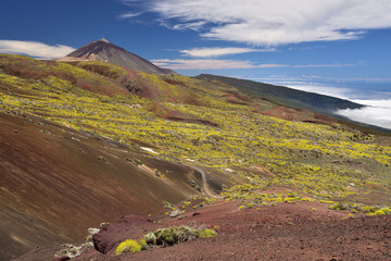 Vulkanische Landschaft auf Teneriffa
