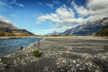 Fototapeta premium Lake Wakatipu between Queentown and Glenorchy in the South Islan