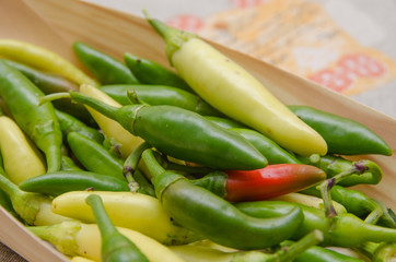Italian green, red, yellow peppers