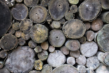 Closeup old timber. Stacked timber logs all over for industry abstract background