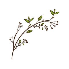 Branches with leaves icon over white background. plant natural decoration theme. vector illustration