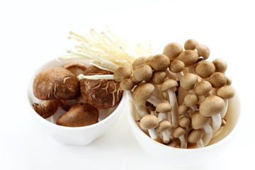 Shiitake is mushrooms for raw food.