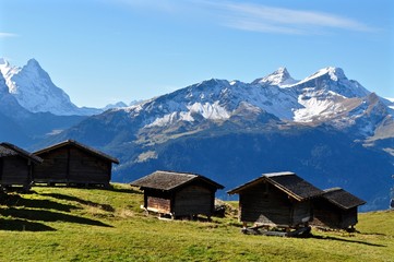 Fototapeta na wymiar Mägisalp auf dem Hasliberg im Berner Oberland, Schweiz - im Hintergrund Schweizer Berge mit Schnee