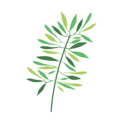 Branches with leaves icon over white background. plant natural decoration theme. vector illustration