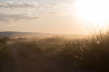 The road to the background of the rising sun