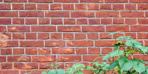 Red brick wall texture