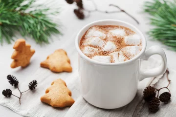 Papier Peint photo Chocolat Cup of hot cocoa or chocolate with marshmallow, cinnamon and cookies on white table. Traditional winter drink.