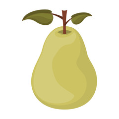 pear fruit icon over white background. healthy and natural food design. vector illustration