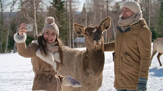Young man and woman having fun while taking selfie with adorable deer in the winter