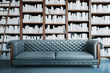 Grey sofa in library