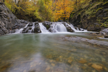Obraz premium Beautiful waterfall in forest, autumn landscape with lots of red and yellow fallen leaves, long exposure