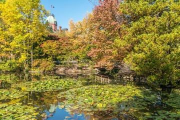 北海道庁旧本庁舎の秋