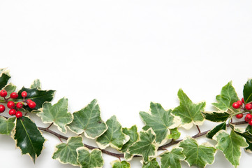 Festive sprig of holly and ivy leaves with berries isolated on a