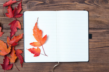 Open empty notebook and bright autumn leaves on wooden background, top view