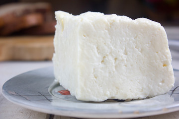 Fototapeta na wymiar Traditional indian cheese panneer prepared form fresh milk on plate