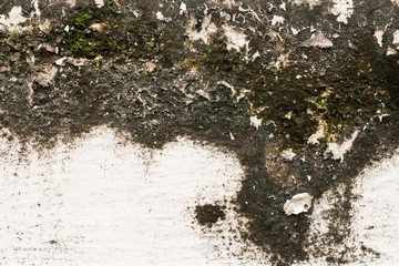 white concrete wall texture