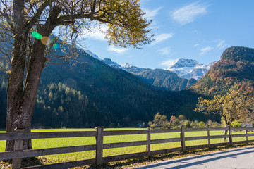 Fototapeta na wymiar Beschneite Berge und bunte Bäume, Alpen