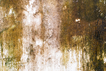 white concrete wall texture