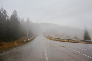 road in the forest disappearing in fog