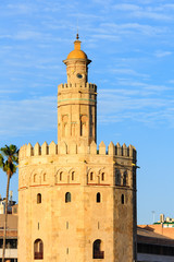 Fototapeta na wymiar Tower of Gold, Seville, Spain.