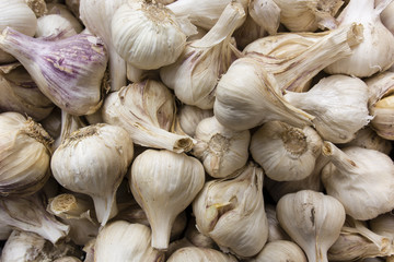 Dying with garlic buds.