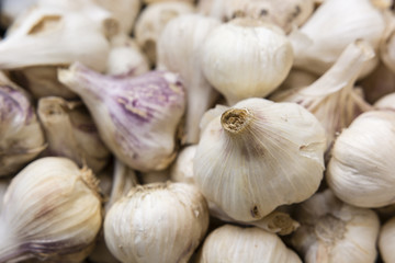 Dying with garlic buds.