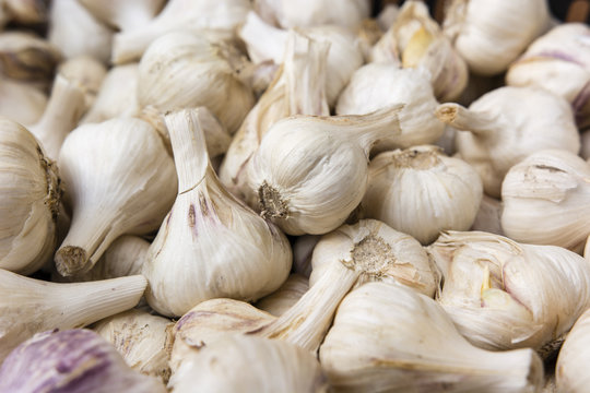 Dying with garlic buds.