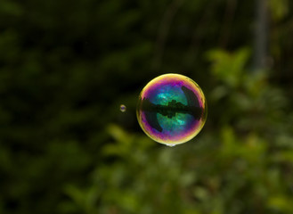 Bright soap buble on the dark background