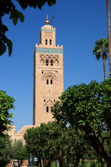 Fototapeta na wymiar In the city of Marrakesh (Morroco)