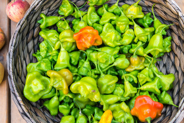 small green and red peppers in a basket
