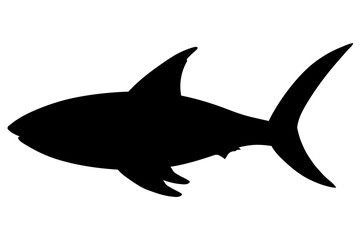 Shark silhouette