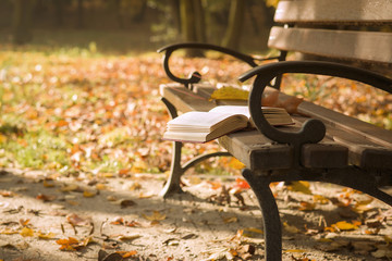 The book lying on a park bench