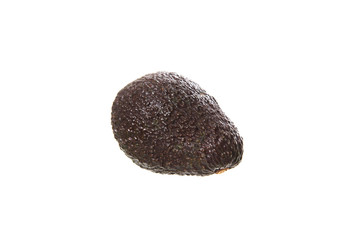 avocado isolated in white background