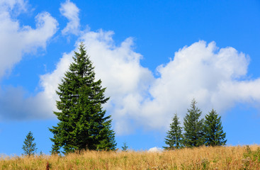 Summer mountain hill.