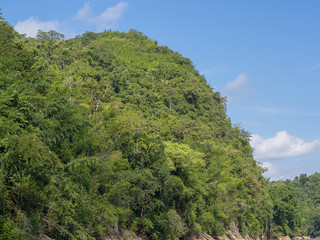 Obraz premium a big mountain filled with trees with the blue sky background lo