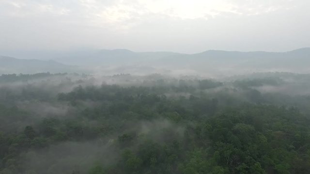 Fly in the Morning with Fog aerial Footage.