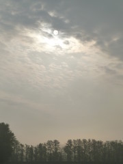 Obraz premium Sun breaking through clouds on a misty Spring morning with treetops silhouetted below 