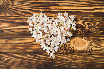 Obraz na płótnie Canvas Apricot blossom flowers and petals on brown wooden background. Heart-shaped. Sign of spring, nature awakening.