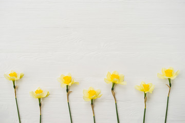 Obraz premium Narcissus flowers on white wooden background. Sign of spring, nature awakening.