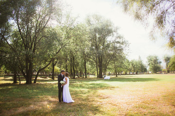 couple bride and groom on a park background