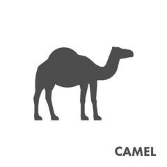 Black vector figure of camel.