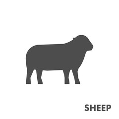 Black vector figure of sheep.
