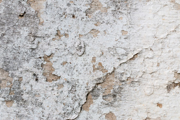 Obraz premium white concrete wall texture