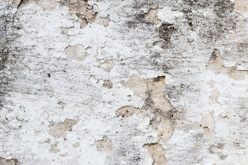 A background of peeling paint and rusty old metal