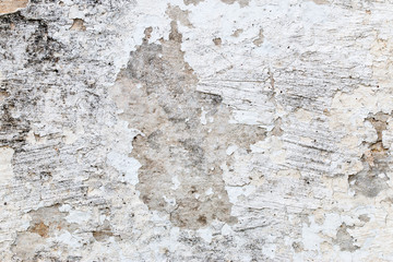 A background of peeling paint and rusty old metal